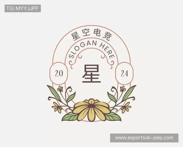 介绍星空电竞